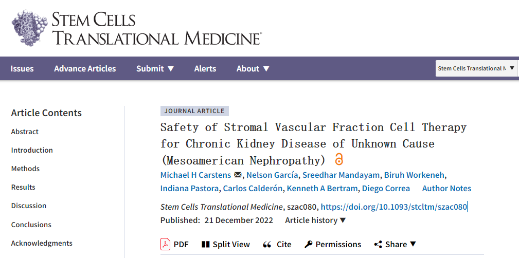間充質(zhì)干細(xì)胞治療不明原因慢性腎臟病的安全性