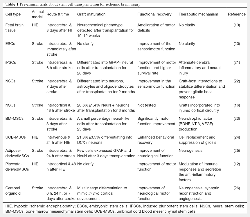 表1：干細(xì)胞移植治療缺血性腦損傷的臨床前試驗(yàn)