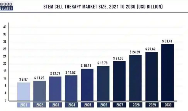 干細(xì)胞市場(chǎng)規(guī)模