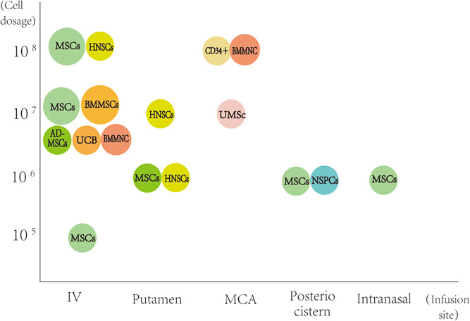 圖1：臨床試驗中細(xì)胞類型、劑量和輸注部位之間關(guān)系的可視化