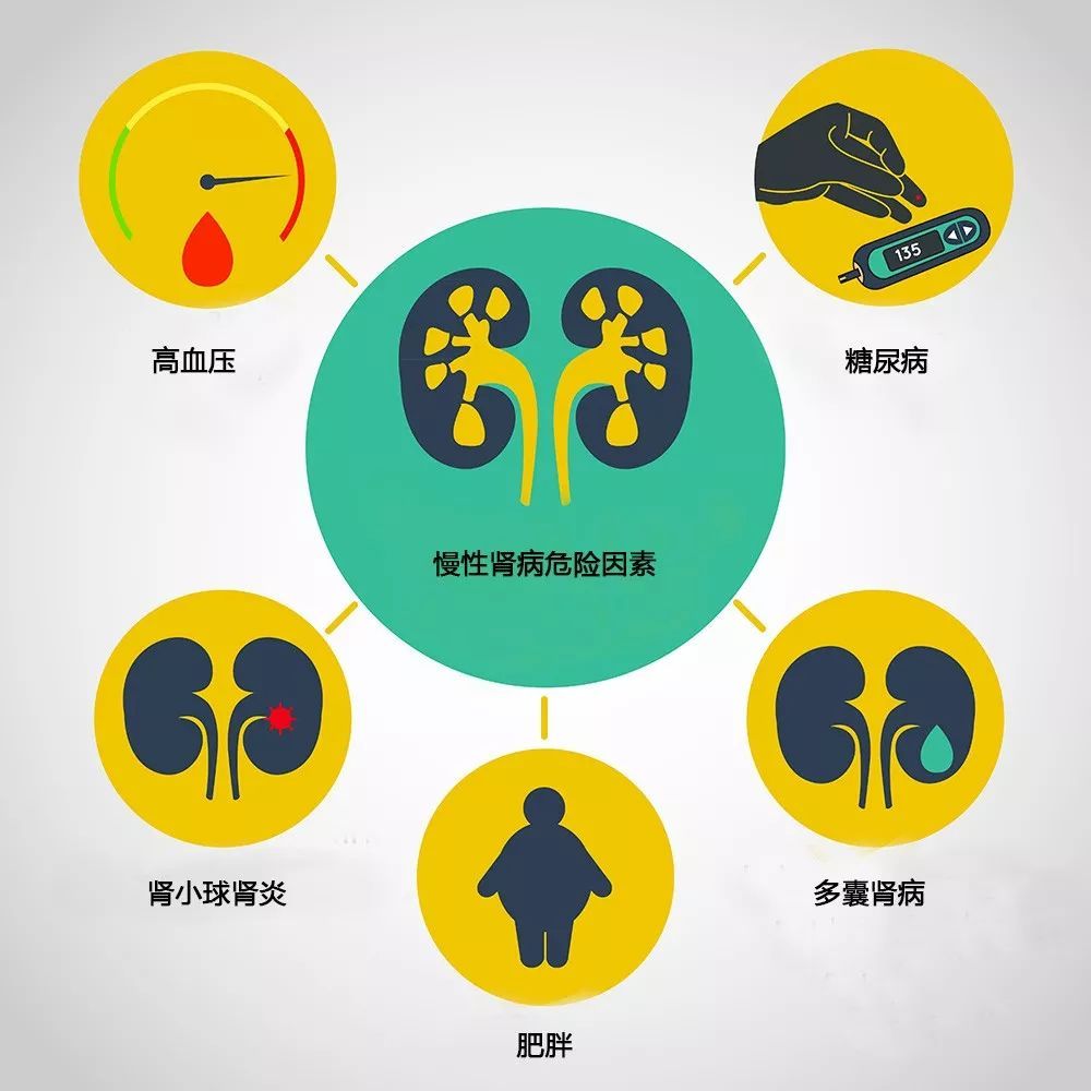 慢性腎病的危險(xiǎn)因素