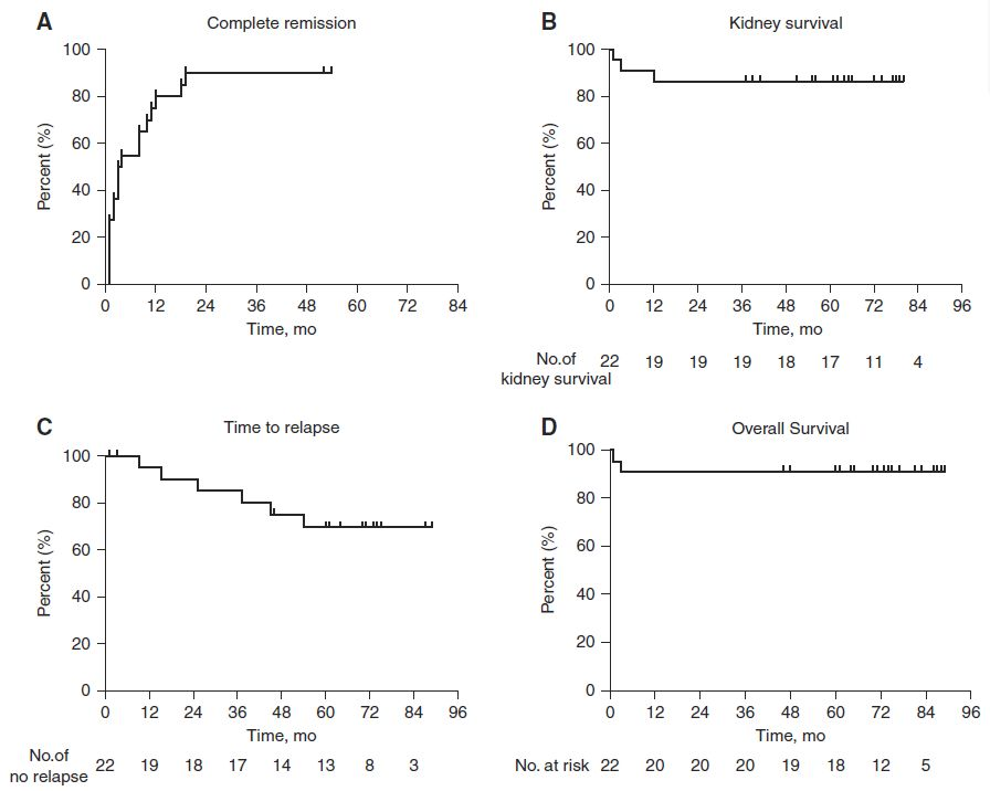 圖4：隊(duì)列中患者的完全緩解概率、腎臟存活率、復(fù)發(fā)時(shí)間和總體存活率。