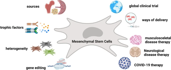 間充質干細胞的細胞療法的全球趨勢簡要概述