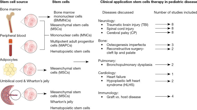 圖1：干細胞的來源和干細胞治療的臨床應用。