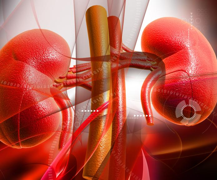 慢性腎臟病第三階段：原因、癥狀和治療