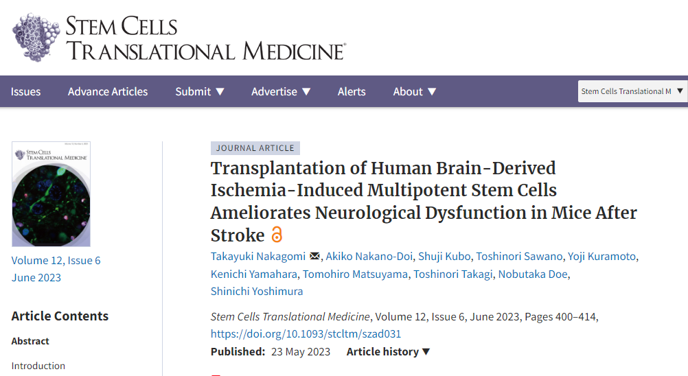 《干細(xì)胞轉(zhuǎn)換醫(yī)學(xué)》：移植人多能干細(xì)胞可改善中風(fēng)后小鼠的神經(jīng)功能障礙