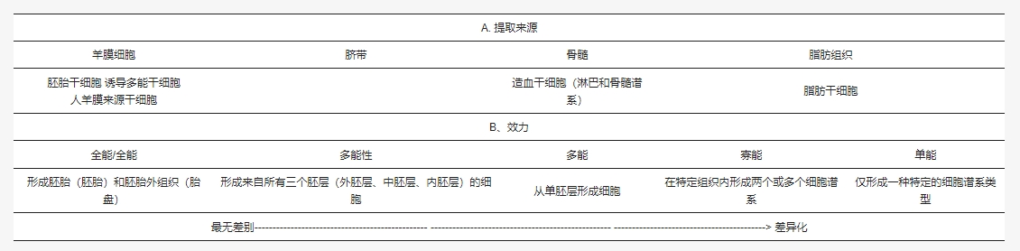 表1：根據(jù)來(lái)源和效力對(duì)干細(xì)胞進(jìn)行分類