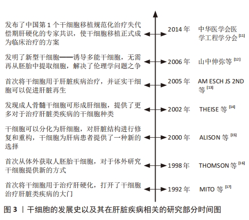 圖 3 ｜干細(xì)胞的發(fā)展史以及其在肝臟疾病相關(guān)的研究部分時間圖