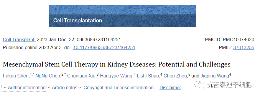 細(xì)胞移植：間充質(zhì)干細(xì)胞治療腎臟疾病的潛力和挑戰(zhàn)