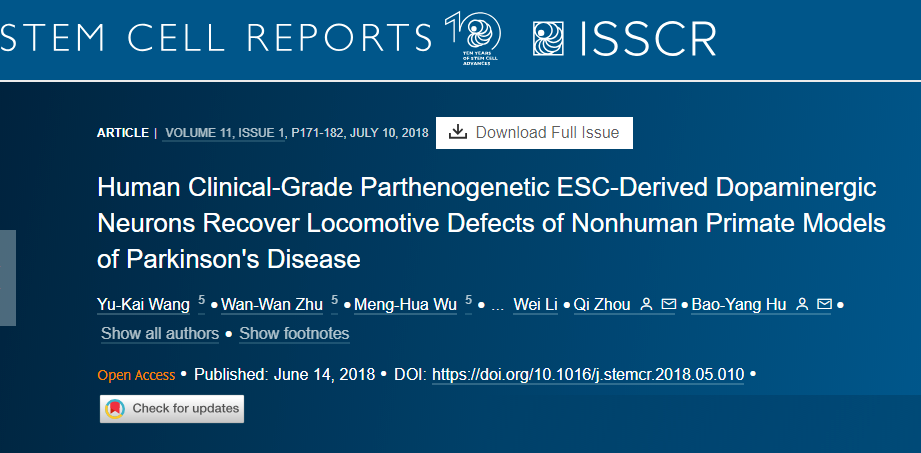 人類臨床級(jí)孤雌生殖 ESC 衍生的多巴胺能神經(jīng)元可恢復(fù)非人類靈長(zhǎng)類動(dòng)物帕金森病模型的運(yùn)動(dòng)缺陷