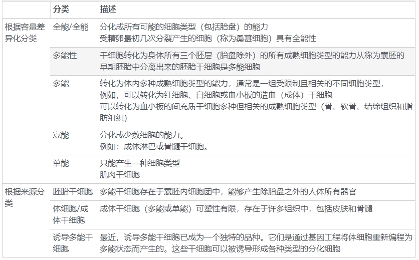 表2：干細(xì)胞的分類