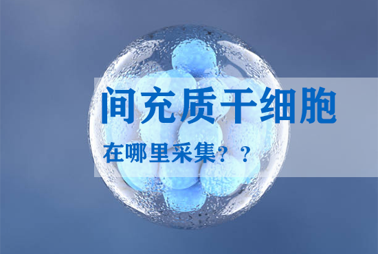 間充質(zhì)干細(xì)胞在哪里采集？