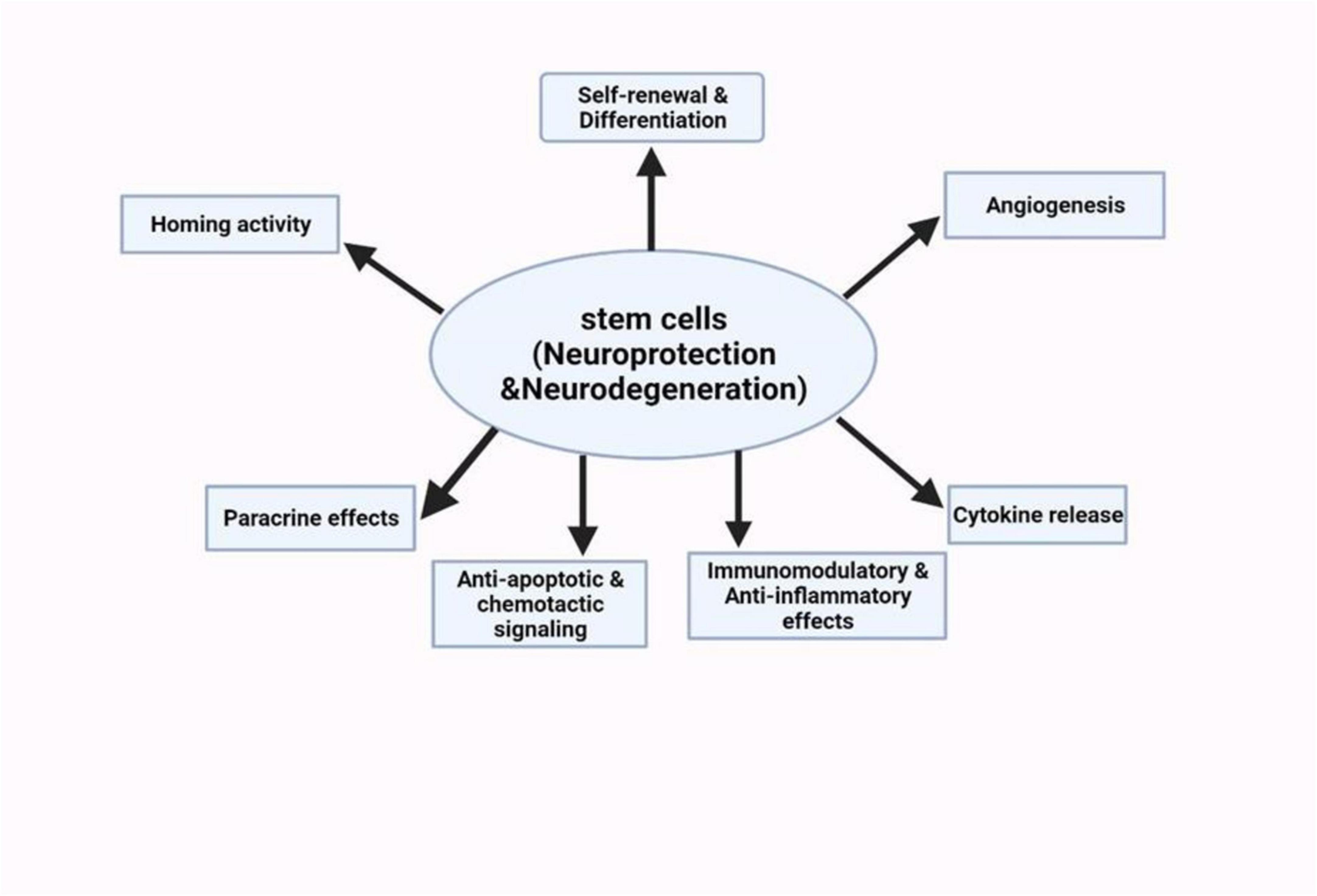 圖5：干細(xì)胞療法對(duì)神經(jīng)系統(tǒng)疾病的神經(jīng)保護(hù)潛力的示意圖