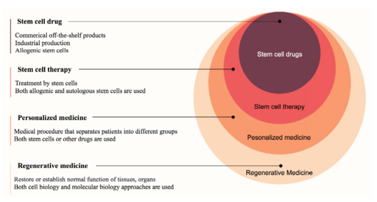 圖1：再生醫(yī)學(xué)中的干細(xì)胞藥物
