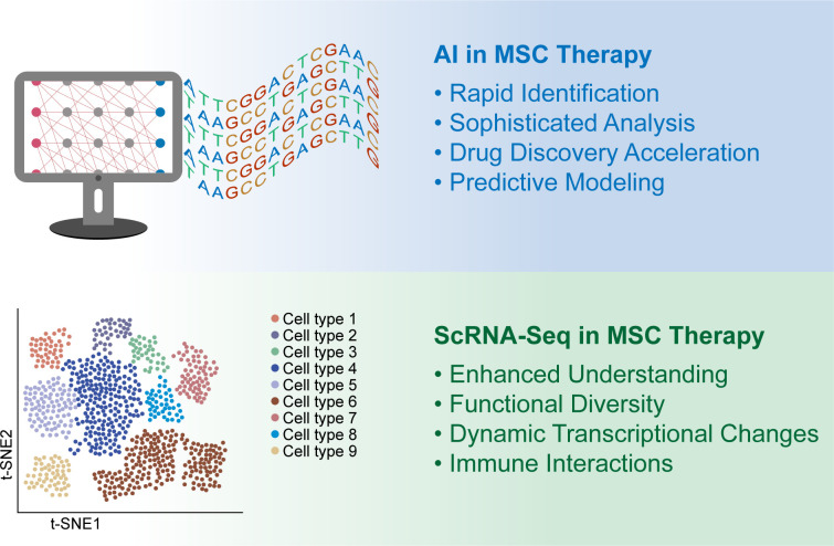 圖1：人工智能 (AI) 和單細(xì)胞RNA測(cè)序 (scRNA-seq) 用于增強(qiáng)間充質(zhì)干細(xì)胞 (MSC) 的臨床應(yīng)用。