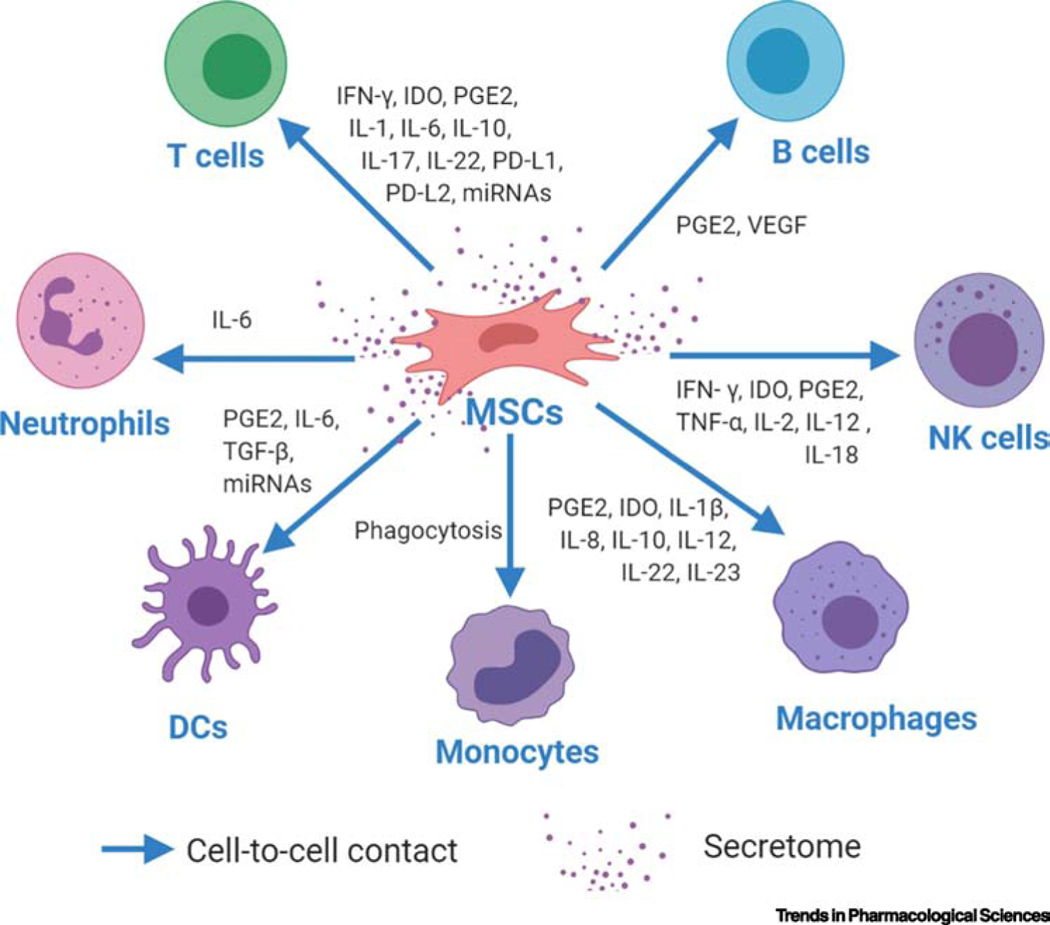 圖1：MSCs與免疫細胞之間多方面的免疫調節(jié)相互作用