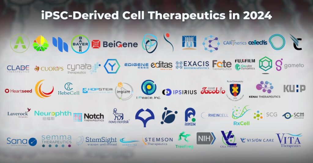 2024年研發(fā)iPSC細(xì)胞治療的公司有哪些？有哪些臨床試驗(yàn)項(xiàng)目？