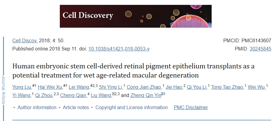 人類胚胎干細(xì)胞來源的視網(wǎng)膜色素上皮移植作為濕性年齡相關(guān)性黃斑變性的潛在治療方法