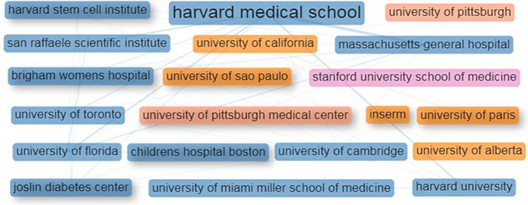 圖4：干細(xì)胞治療1型糖尿病研究的主要機(jī)構(gòu)的合作網(wǎng)絡(luò)。