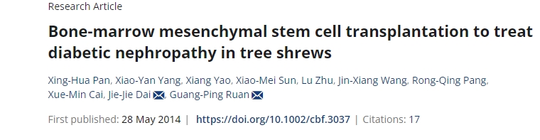 骨髓間充質(zhì)干細(xì)胞移植治療樹(shù)鼩糖尿病腎病