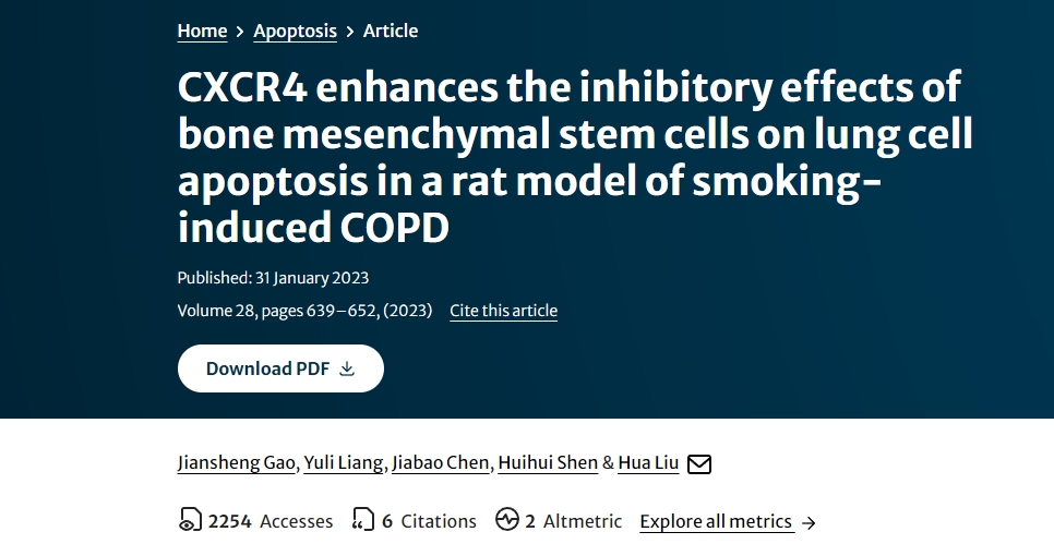 CXCR4 增強(qiáng)骨髓間充質(zhì)干細(xì)胞對(duì)吸煙誘發(fā)的 COPD 大鼠肺細(xì)胞凋亡的抑制作用