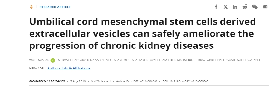 臍帶間充質(zhì)干細胞衍生的細胞外囊泡可以安全地改善慢性腎臟疾病的進展