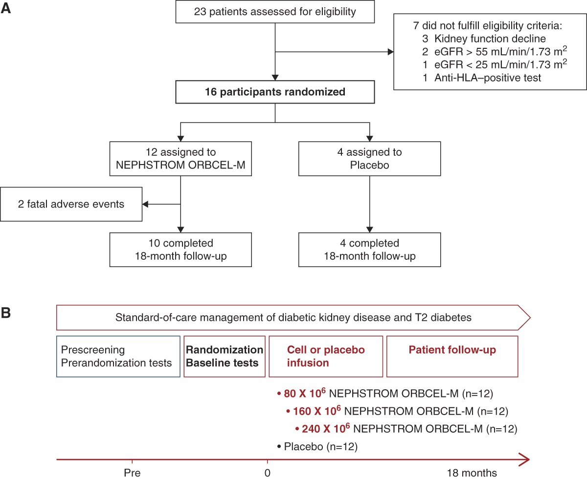 NEPHSTROM試驗設計摘要