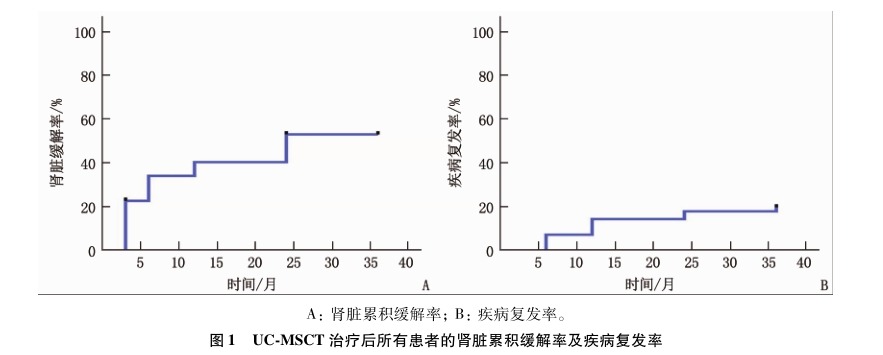 圖1 UC-MSCT 治療后所有患者的腎臟累積緩解率及疾病復發(fā)率