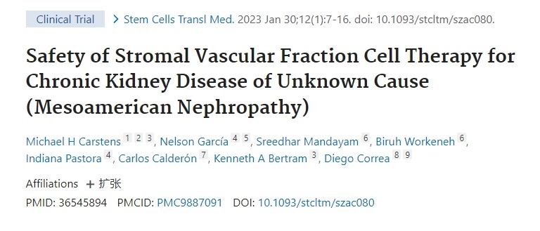 基質血管成分細胞療法治療原因不明的慢性腎病（中美洲腎?。┑陌踩? class=