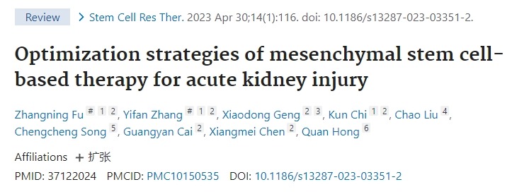 間充質(zhì)干細(xì)胞治療急性腎損傷的優(yōu)化策略