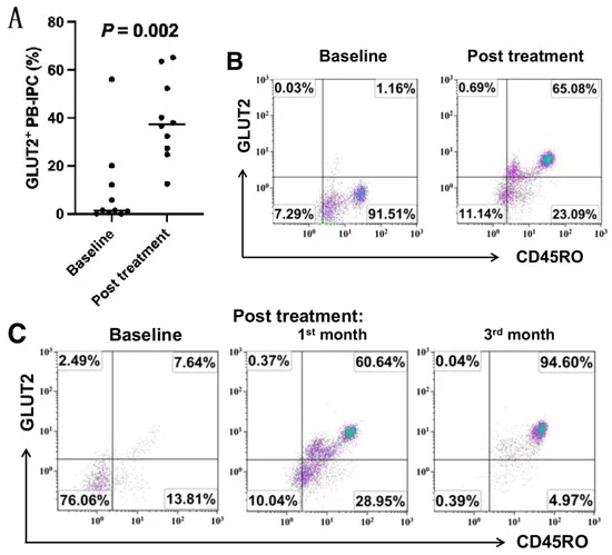 圖1：接受干細(xì)胞教育療法治療后，患者中GLUT2+CD45RO+PB-IPC 的百分比增加