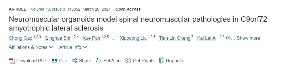神經(jīng)肌肉類器官模擬 C9orf72肌萎縮側(cè)索硬化癥中的脊髓神經(jīng)肌肉病理