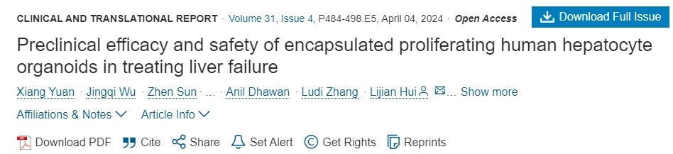封裝增殖人肝細胞類器官治療肝功能衰竭的臨床療效和安全性