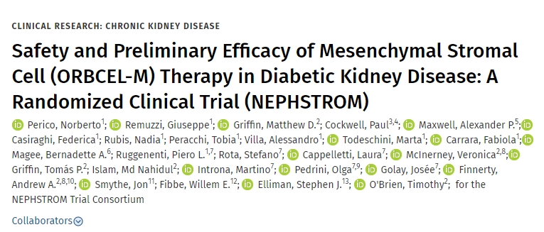 間充質(zhì)基質(zhì)細(xì)胞（ORBCEL-M）治療糖尿病腎病的安全性和初步療效：隨機(jī)臨床試驗(yàn)（NEPHSTROM）