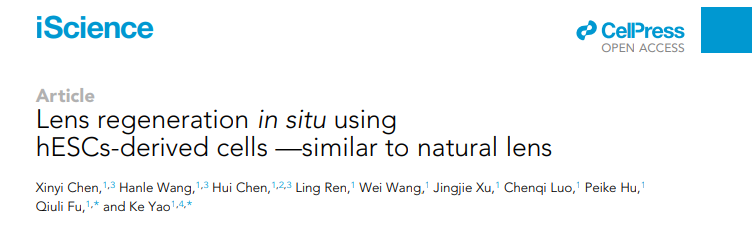 用外源性干細(xì)胞在眼內(nèi)進(jìn)行晶狀體原位再生的開拓性研究