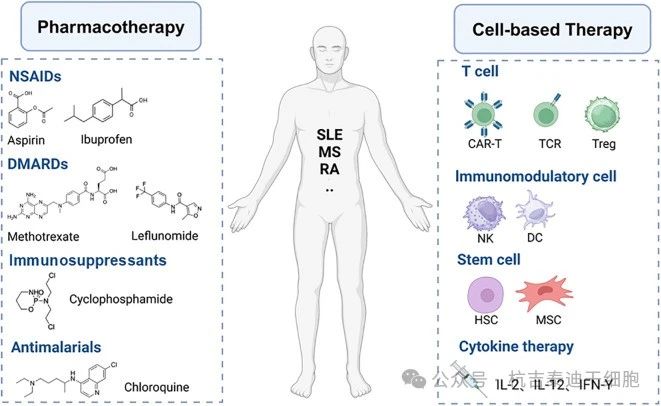 圖3：自身免疫性疾病的藥物治療和細(xì)胞治療。
