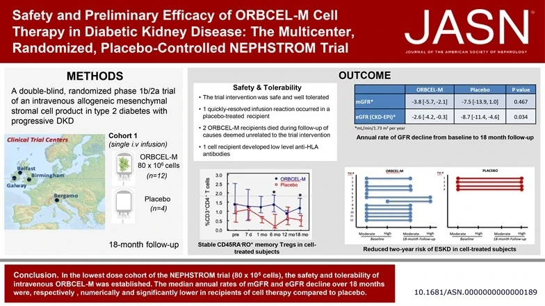 間充質(zhì)基質(zhì)細(xì)胞 (ORBCEL-M) 治療糖尿病腎病的安全性和初步療效：一項(xiàng)隨機(jī)臨床試驗(yàn) (NEPHSTROM)